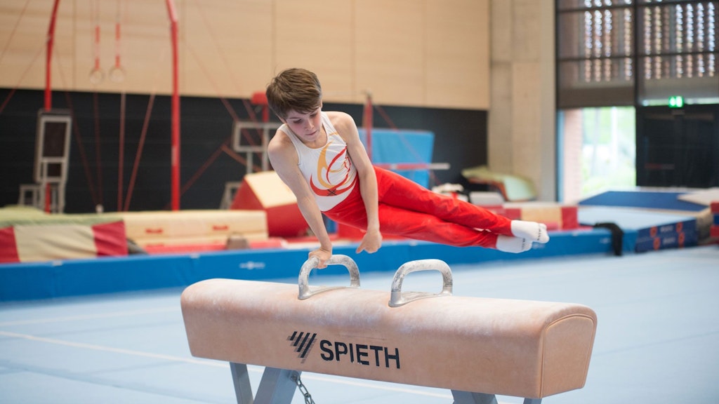 Artistic and apparatus gymnastics